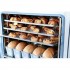 Конвекционная печь ABAT (АБАТ) КЭП-16 11000027030 Конвекционная печь ABAT (АБАТ) КЭП-16 11000027030